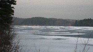 Click to view picture details [18443]