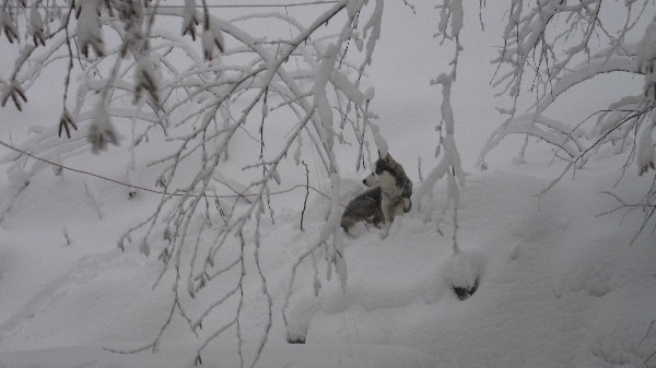 Click to view picture details [18541]