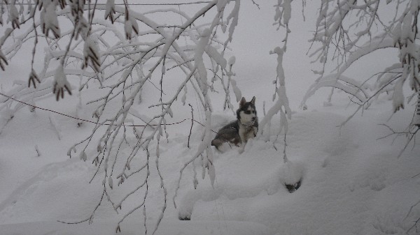 Click to view picture details [18542]