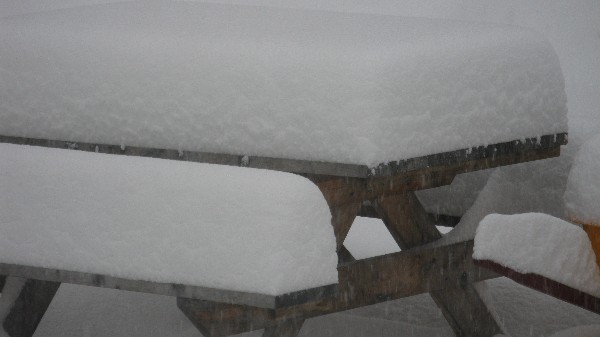 Click to view picture details [18543]