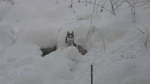 Click to view picture details [18545]