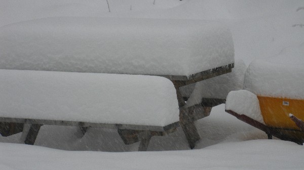 Click to view picture details [18551]