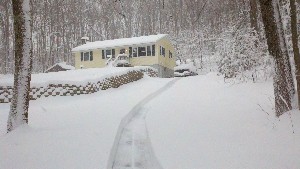 Click to view picture details [18554]