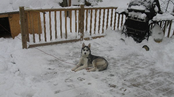 Click to view picture details [18556]