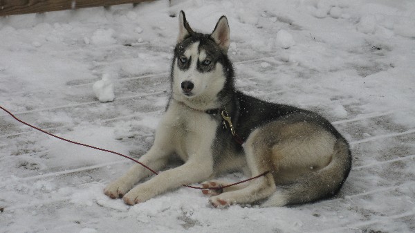 Click to view picture details [18558]