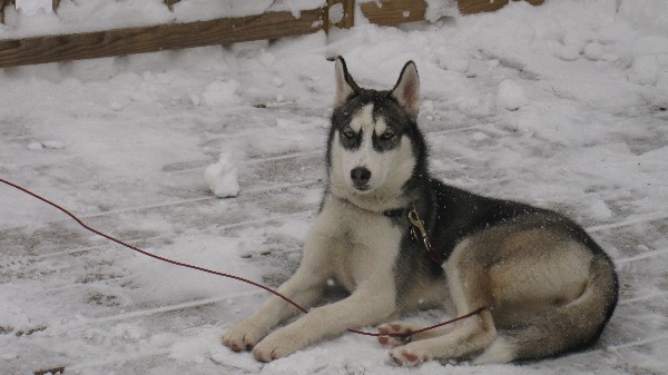 Click to view picture details [18559]