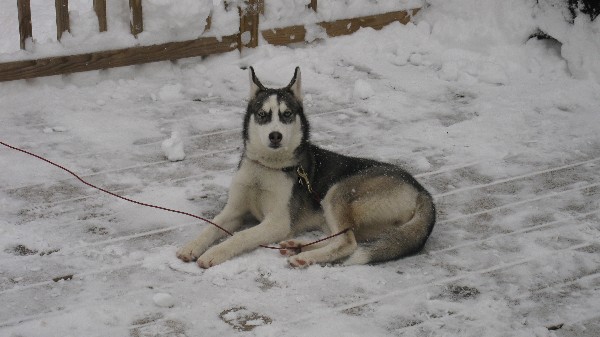 Click to view picture details [18560]