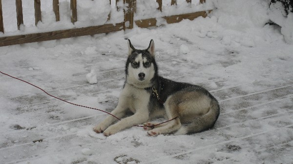 Click to view picture details [18561]