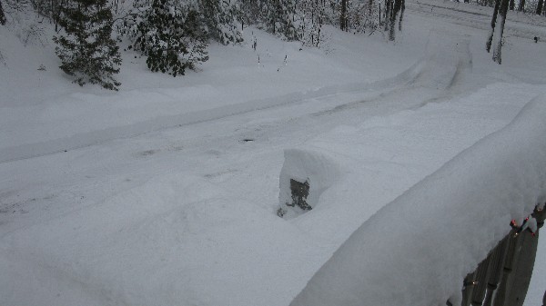 Click to view picture details [18563]