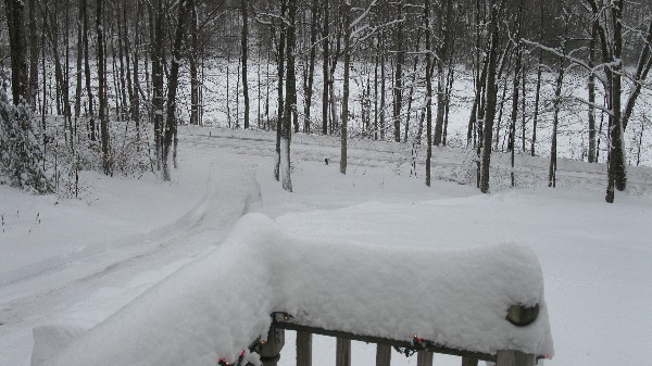 Click to view picture details [18564]