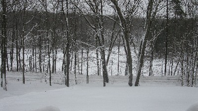 Click to view picture details [18566]