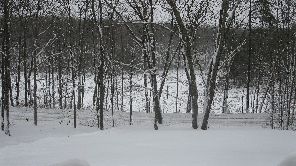 Click to view picture details [18566]