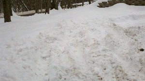 Click to view picture details [18626]