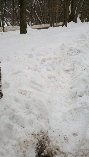 Click to view picture details [18628]