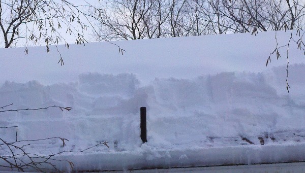 Click to view picture details [18630]