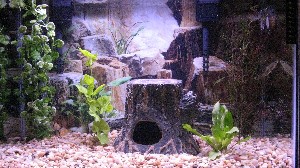 Click to view picture details [18709]