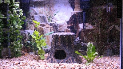 Click to view picture details [18709]