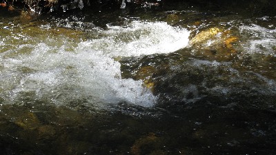 Click to view picture details [18770]