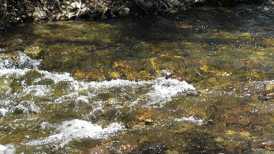 Click to view picture details [18771]