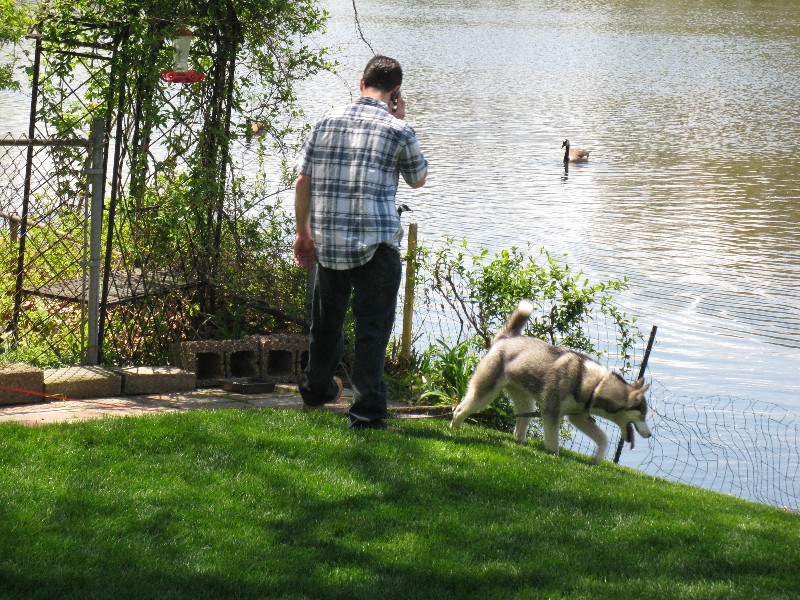 Click to view picture details [18832]