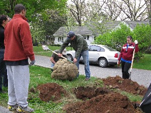 Click to view picture details [18845]