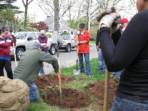 Click to view picture details [18846]