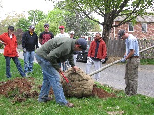 Click to view picture details [18847]