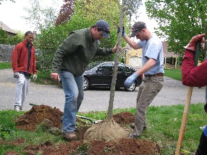 Click to view picture details [18848]