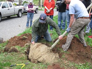 Click to view picture details [18849]