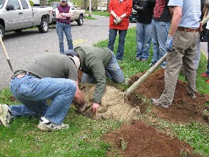 Click to view picture details [18850]