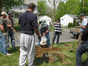 Click to view picture details [18851]