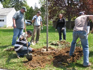 Click to view picture details [18852]