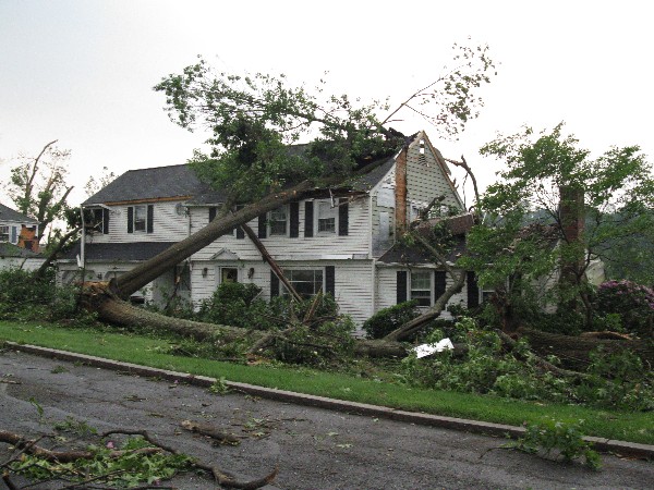 Click to view picture details [18931]