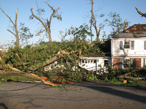 Click to view picture details [18969]