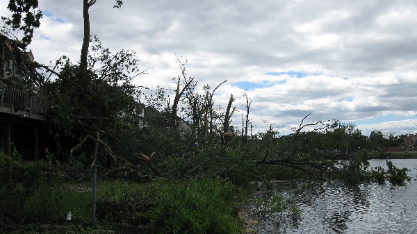 Click to view picture details [19003]