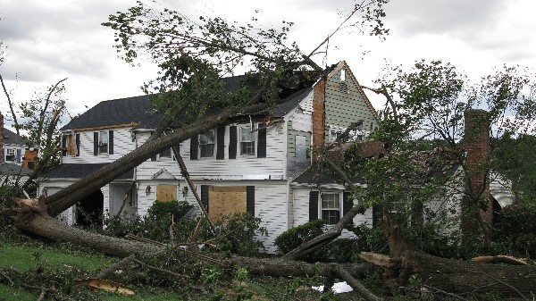 Click to view picture details [19012]