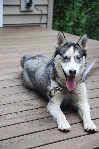 Click to view picture details [19100]