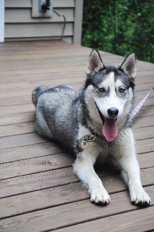 Click to view picture details [19100]