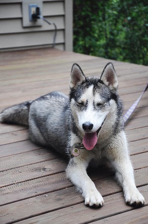 Click to view picture details [19101]