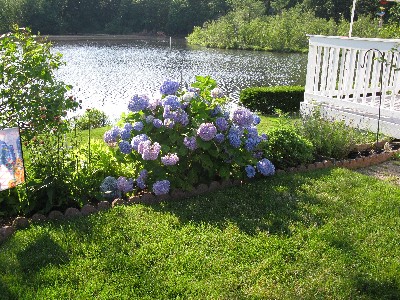 Click to view picture details [19122]