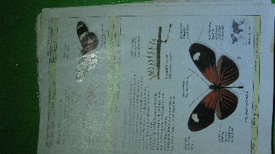 Click to view picture details [19363]