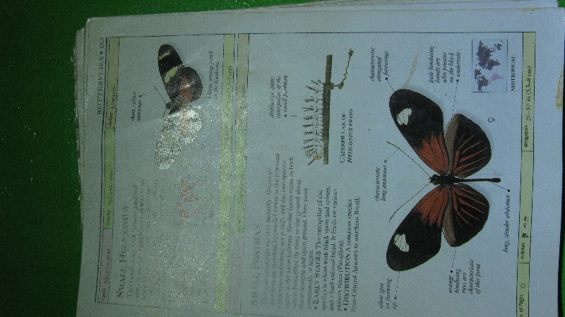 Click to view picture details [19363]