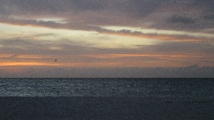 Click to view picture details [19728]