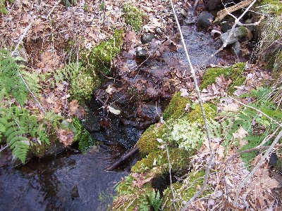 Click to view picture details [2]