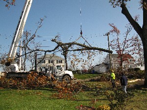 Click to view picture details [20015]