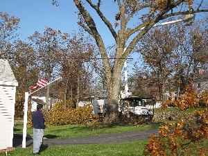 Click to view picture details [20018]