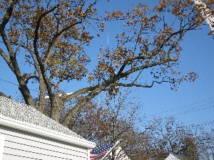 Click to view picture details [20019]