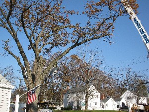 Click to view picture details [20020]