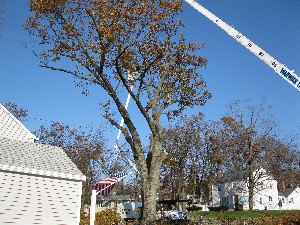 Click to view picture details [20021]