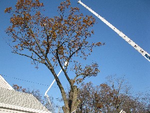 Click to view picture details [20022]